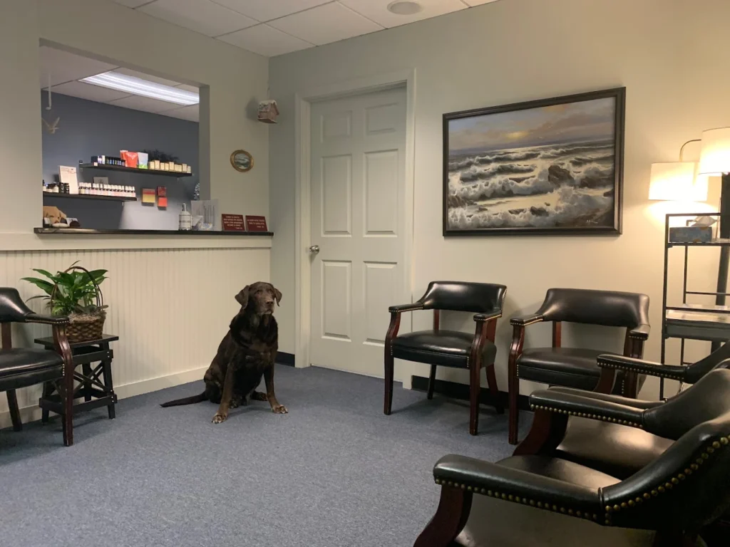 Calm clinic waiting room at Brain and Body of Norwalk with chairs, reception desk, and a dog sitting on the floor